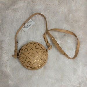Cynthia Vincent Studded Crossbody Bag